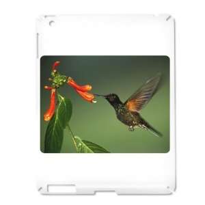  iPad 2 Case White of Green Violetear Hummingbird 