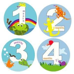 Little Critters Monthly Baby Bodysuit Stickers