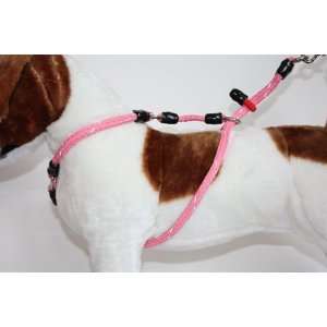  Xtreme No Pull Harness for dogs 20 lbs. and up   animal 