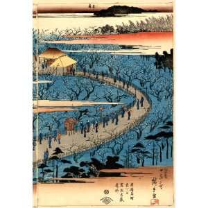 Japanese Print Kameido umeyashiki zenzu. TITLE TRANSLATION: A complete 