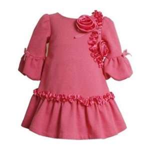  Pink Rose and Ruffle Dress Size 12 Month   B26255 
