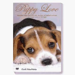  Sensory Visual Puppy Love Dvd