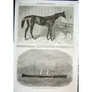  Horse Blair Athol Wins Derby 1864, Ship Avalon Of Ger 