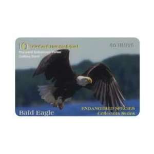   Phone Card 60u Bald Eagle Endangered Animal Species Collectors Series