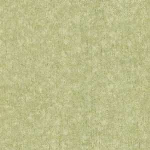   412 54261 20.5 Inch by 396 Inch Foil Textured Depth Wallpaper, Green
