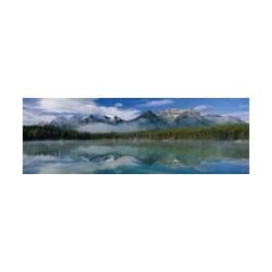   Panoramic Jigsaw Puzzle by Great American Puzzle Factory: Toys & Games