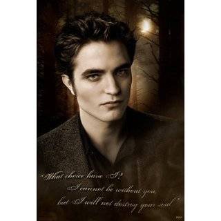  Robert Pattinson Movie (Pose, Stone) Poster Print   22x34 