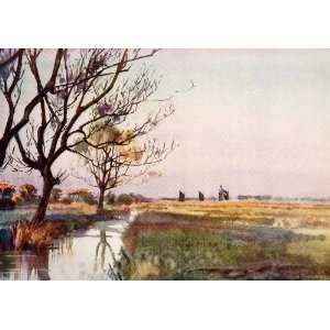 1906 Print Frank Southgate Marshland Barton England River Stream Swamp 