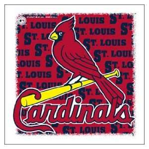  MLB St Louis Cardinals Stick Flags   Set of 2 Patio, Lawn 