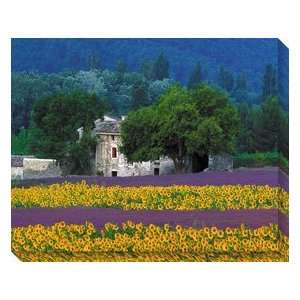   OU 63810 Provence   All Weather Outdoor Canvas Art
