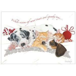   Productions C534 Mix Dog With Cat Holiday Boxed Cards: Home & Kitchen