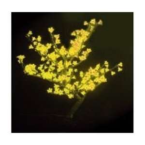 30 Cherry Blossom Tree Yellow LED 