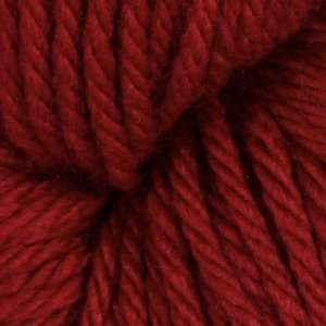   Chunky Yarn (6134) Sour Cherry By The Skein: Arts, Crafts & Sewing