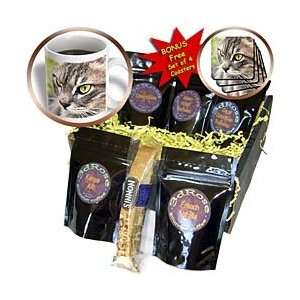 Taiche Photography Cats   Long Haired Tabby Cat   Coffee Gift Baskets 