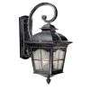   Outdoor Pendant Lighting Fixture, Black and Silver, Clear Seed Glass