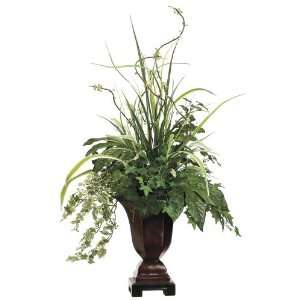 Ivy Grass & Aralia Silk Plant Arrangement 
