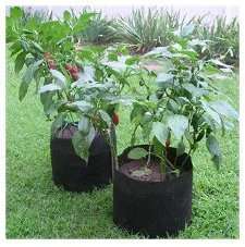 New Smart Pots for Container Gardening Cloth 20 Gallon  