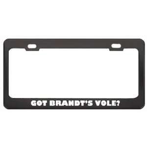 Got BrandtS Vole? Animals Pets Black Metal License Plate Frame Holder 