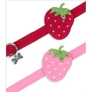  Slider for Dog Collars   Strawberry (Red): Kitchen 
