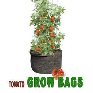  Around Roots. Two (2) Bags in This Package. Patio, Lawn & Garden