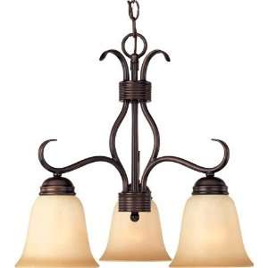  Basix Collection 3 Light 19 Oil Rubbed Bronze Down Light 