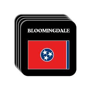  US State Flag   BLOOMINGDALE, Tennessee (TN) Set of 4 Mini 