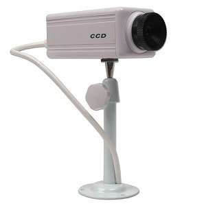  Indoor/Outdoor Simulated Security Camera