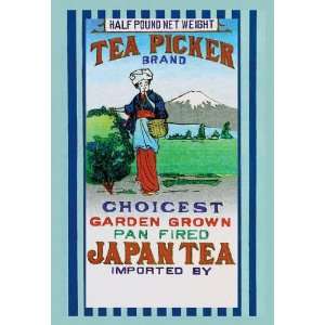  Tea Picker Brand 28x42 Giclee on Canvas