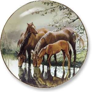  Horses Decorative Plate: Home & Kitchen