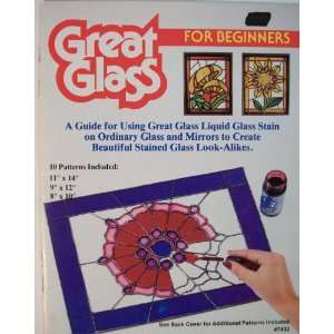    Great Glass For Beginners Craft Book Carol Hutchinson Books