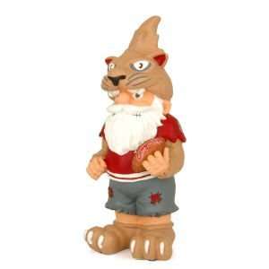  Washington State Cougars Team Thematic Gnome: Sports 