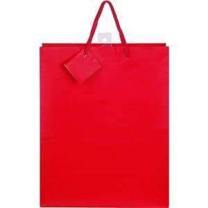   Large Gift Bag   Dollar Program Pack of 12