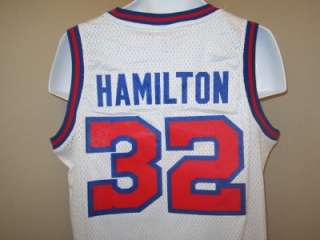 NEW Richard HAMILTON Detroit PISTONS L Large SWINGMAN Adidas Sewn 