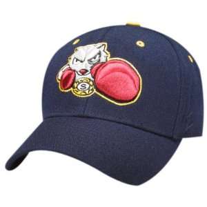   FIGHTING SQUIRREL Navy DHS Hat 