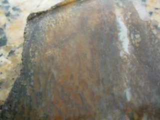 GEM quality UTAH Agatized Dinosaur Bone slab Broken Bone specimen 