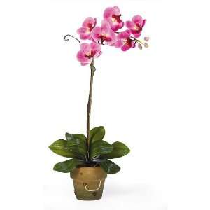 Nearly Natural 4307 DL Phalaenopsis Silk Plant with Clay Pot  