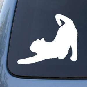  CAT STRETCHING   Vinyl Car Decal Sticker #1497  Vinyl 