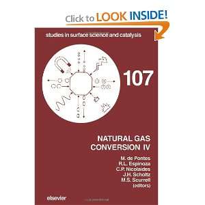  Natural Gas Conversion IV (9780444540997): M. de Pontes, R 