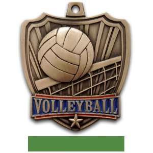   Volleyball Medals BRONZE MEDAL/GREEN RIBBON 2.5: Sports & Outdoors