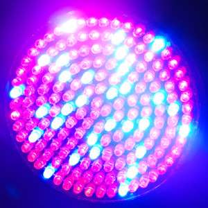 LED grow Light hydroponic red blue growing lamp bulb x2  