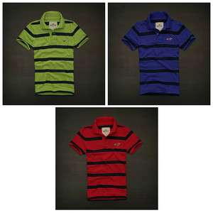 NWT HOLLISTER 2012 NEW STYLE Premium Stripe Polo T shirt Men M, L NEW 
