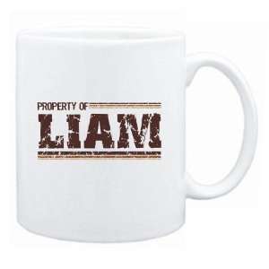  New  Property Of Liam Retro  Mug Name