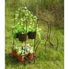 New Metal Tricycle Planter Plant Stand Basket   85314  