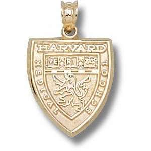   Crimson 10K Gold Medical School Shield Pendant