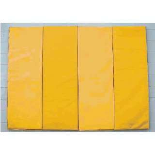   Padding Wall Padding   2 X 6 X 1.5 Velcro Mounted Wall Pad