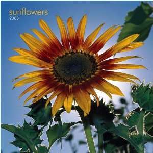  Sunflowers 2008 Mini Wall Calendar