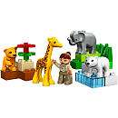 LEGO Duplo Building Sets   LEGOVille   Thomas & Friends  ToysRUs
