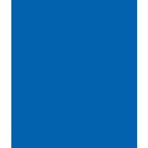   Chroma Sheet Background   10 x 24 (Chroma Blue)
