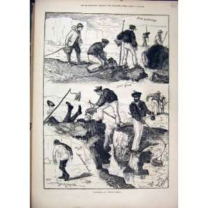   Prawning Beechy Head 1878 Bait Gathering Nets Sea Men