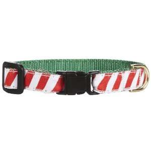  Up Country Peppermint Stick Cat Collar   Size 10 Pet 
